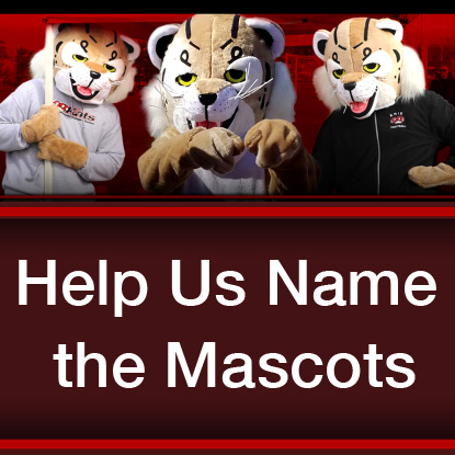 the mascot triplets Help us name the mascots!