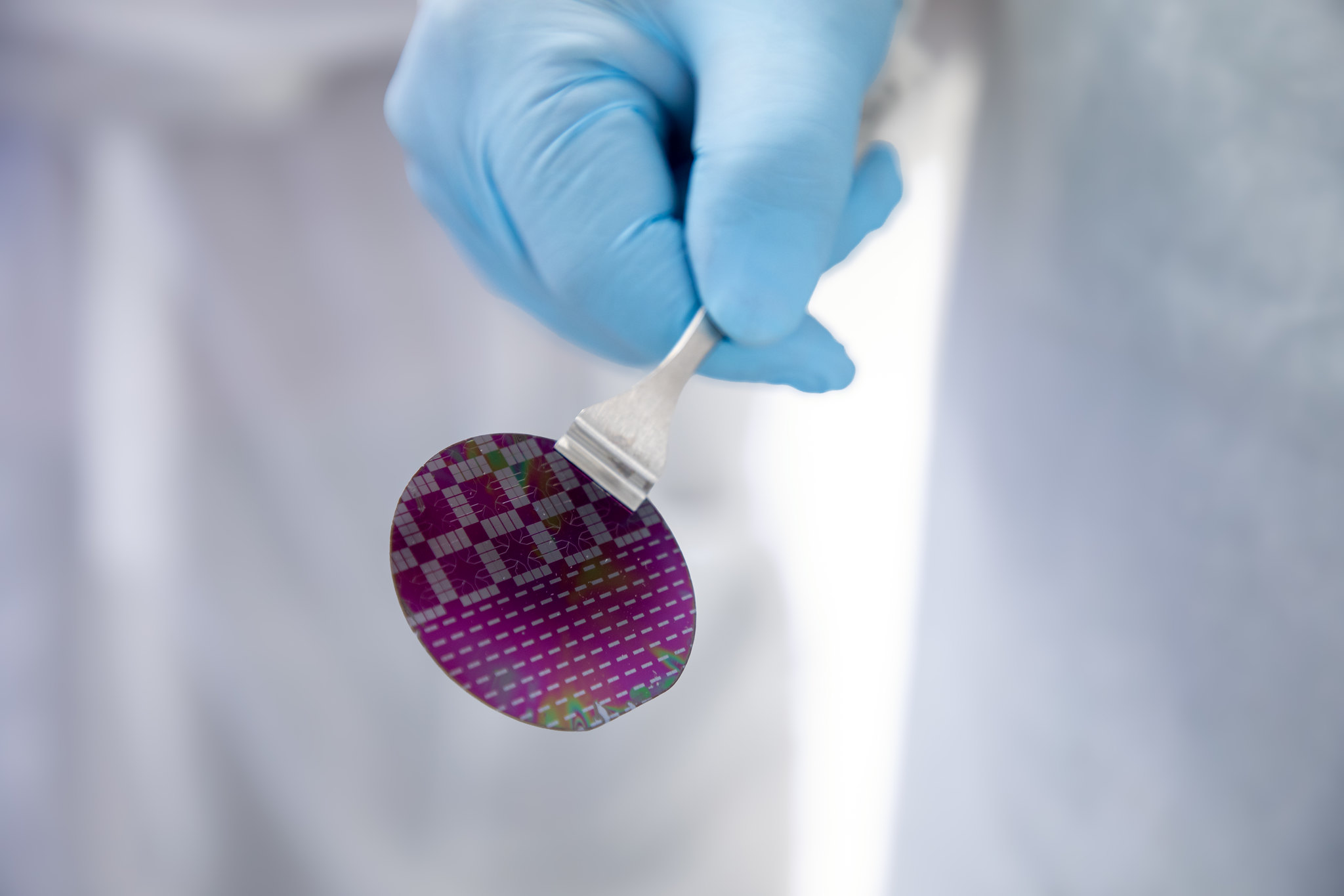 A blue gloved hand holds out a microchip using plastic tongs.