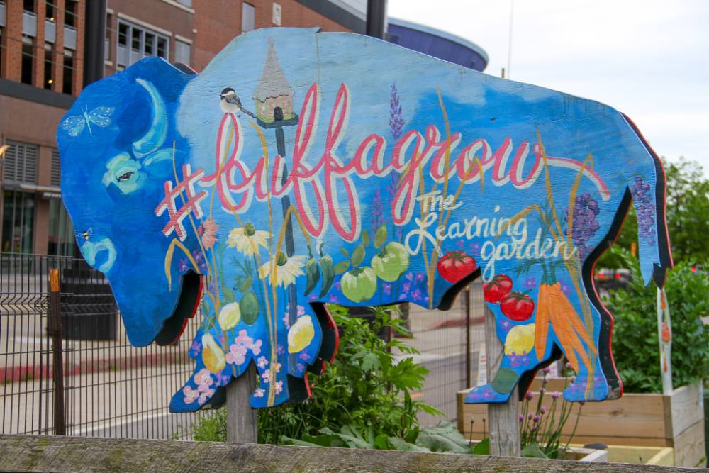 A painted buffalo-shaped sign reading “#BuffaLove – The Learning Garden,” decorated with flowers, vegetables, and a birdhouse, stands in an outdoor garden space in Downtown Buffalo.