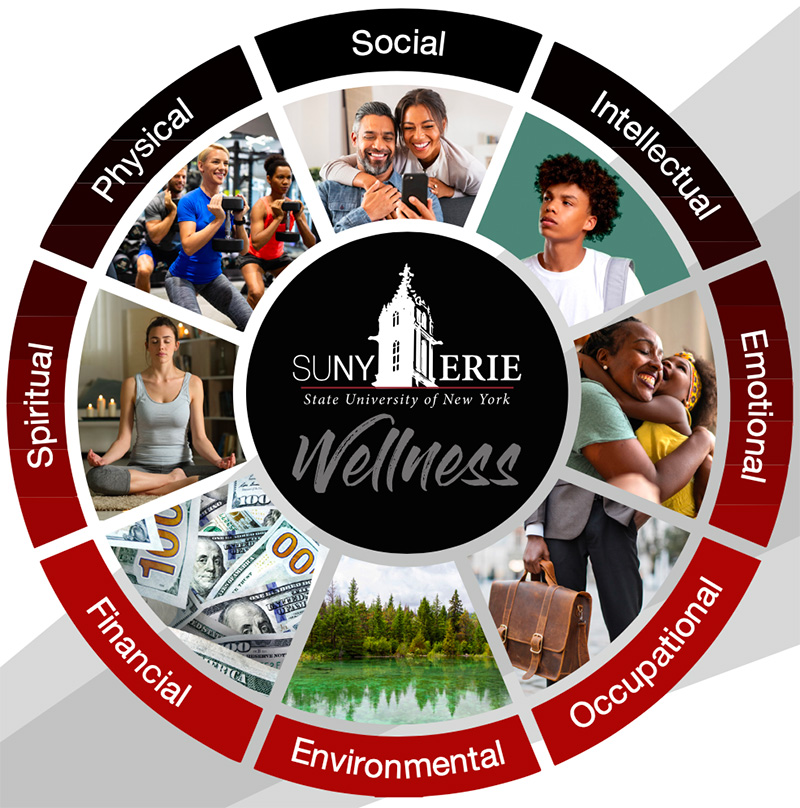 Erie Connects Wellness Wheel with categories (spiritual, physical, social, intellectual, emotional, occupational, environmental, financial)
